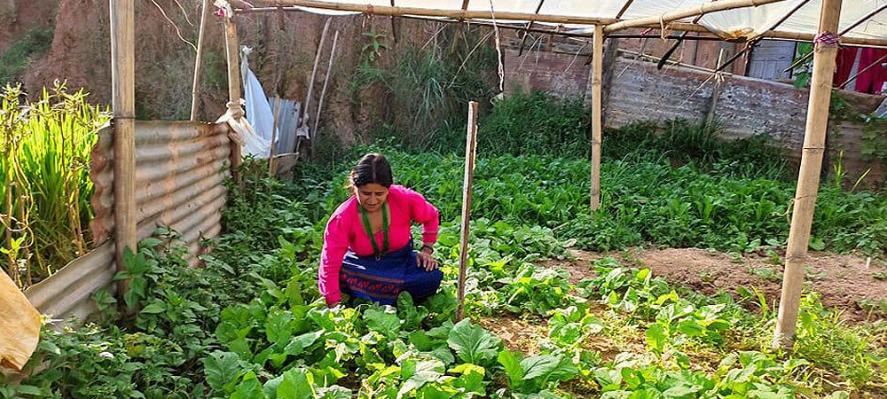 Livelihood Project at Kagati Gau